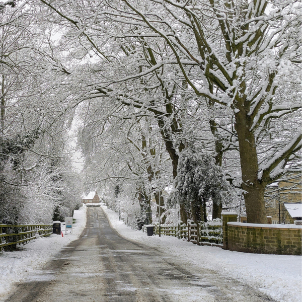 Popular Through Autumn and Winter